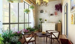 网红阳台吃瓜事件,一场网络狂欢背后的争议与反思